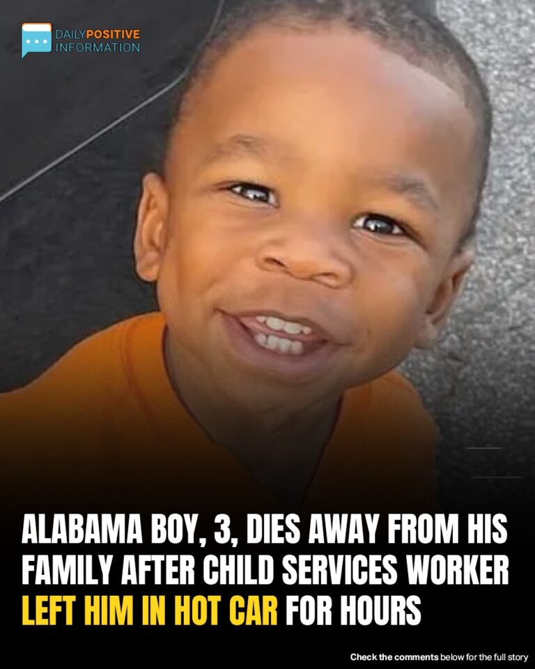 Tragedy In Alabama: Toddler Dies In Hot Car Under State Care
