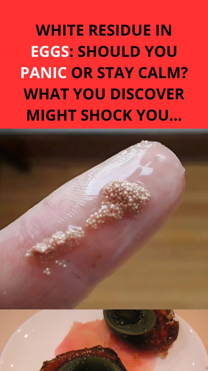 White Residue in Eggs: Should You Panic or Stay Calm? What You Discover Might Shock You…