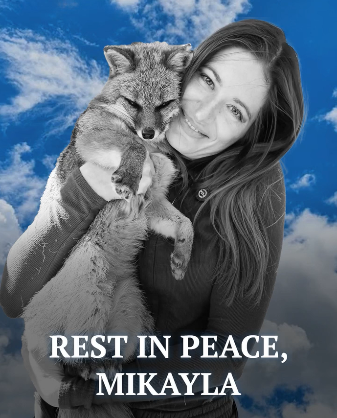 Mikayla Raines, Creator Behind Save a Fox, Passes Away — Husband Announces Her Death