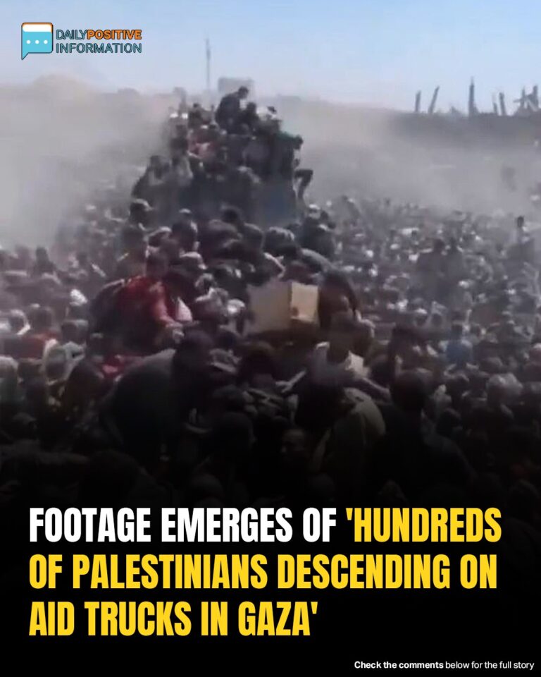 Desperate Gazans Swarm Aid Trucks As Israel Pauses Fighting