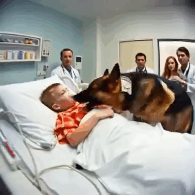 Retired K9 Refused to Leave Boy’s Bed and Bit the Frame — Then Doctors Made
